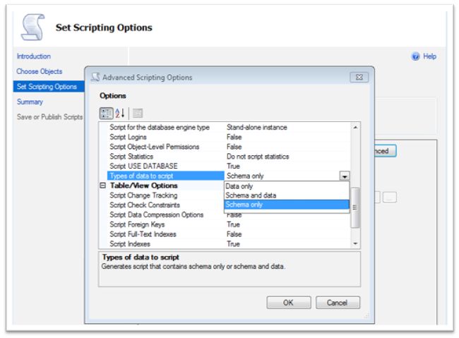 advance script option